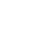 icon MI